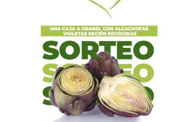 Bases Sorteo HEALTHY FRIDAY Alcachofas Cuadraspania