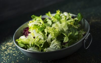 Receta de escarola a la cordobesa – Cuadraspania
